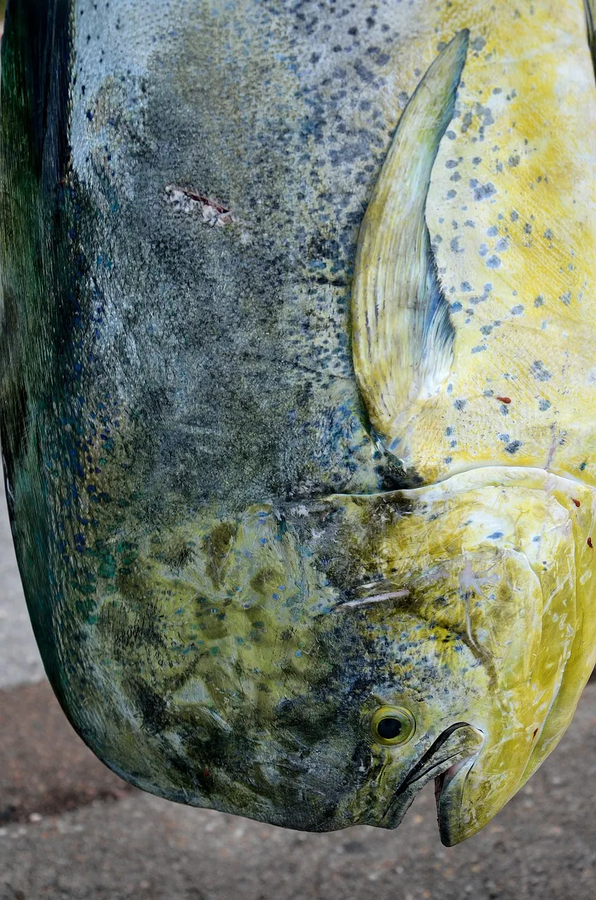 Mahi Mahi with Sweet Corn Pesto - Tastemaker Blog