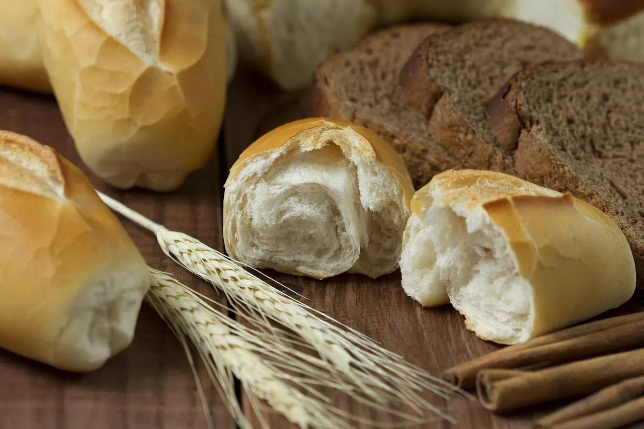 Olive and Fennel Focaccia - Tastemaker Blog