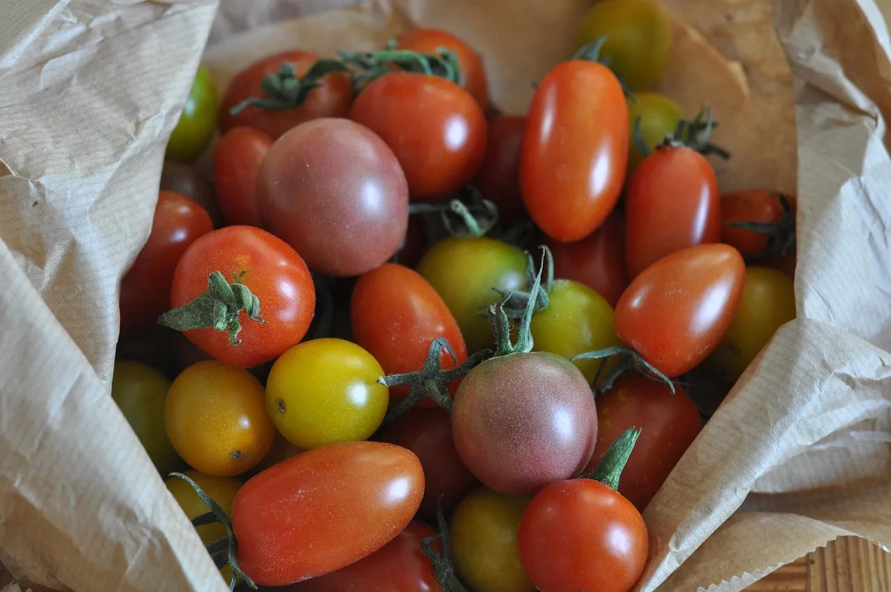 Heirloom Tomato Crostini - Tastemaker Blog