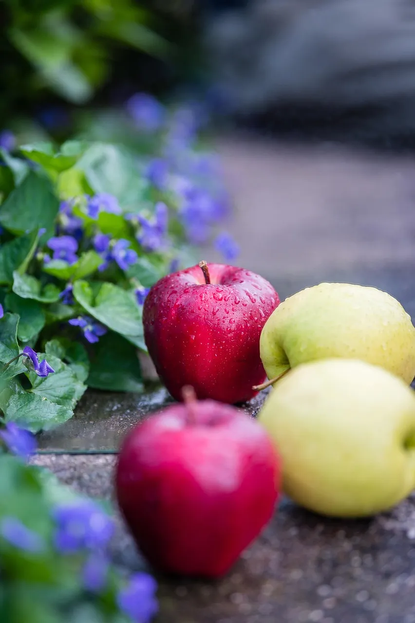 Double Crust Apple Pie - Tastemaker Blog