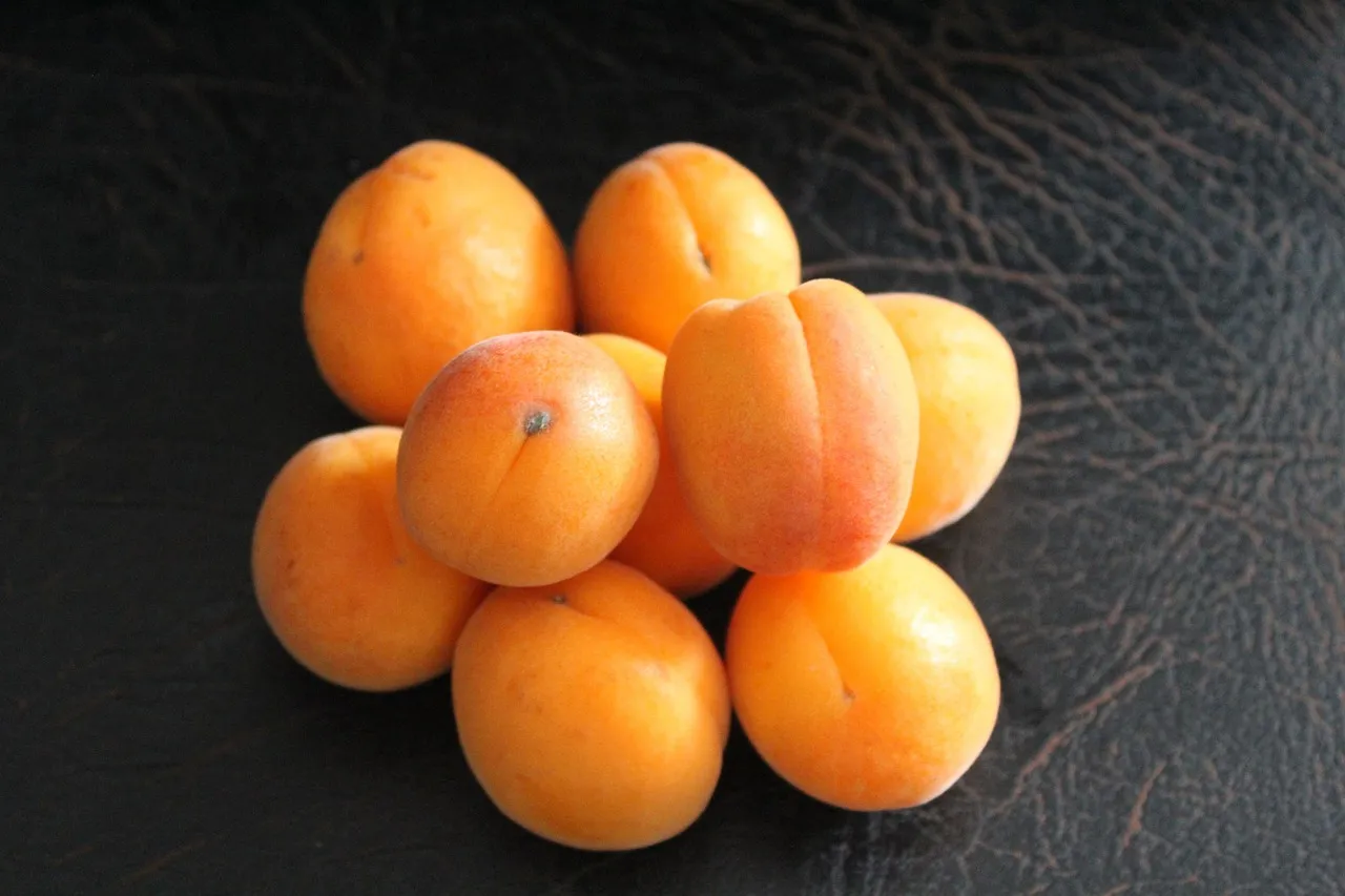 Flaky Stone Fruit Galette - Tastemaker Blog