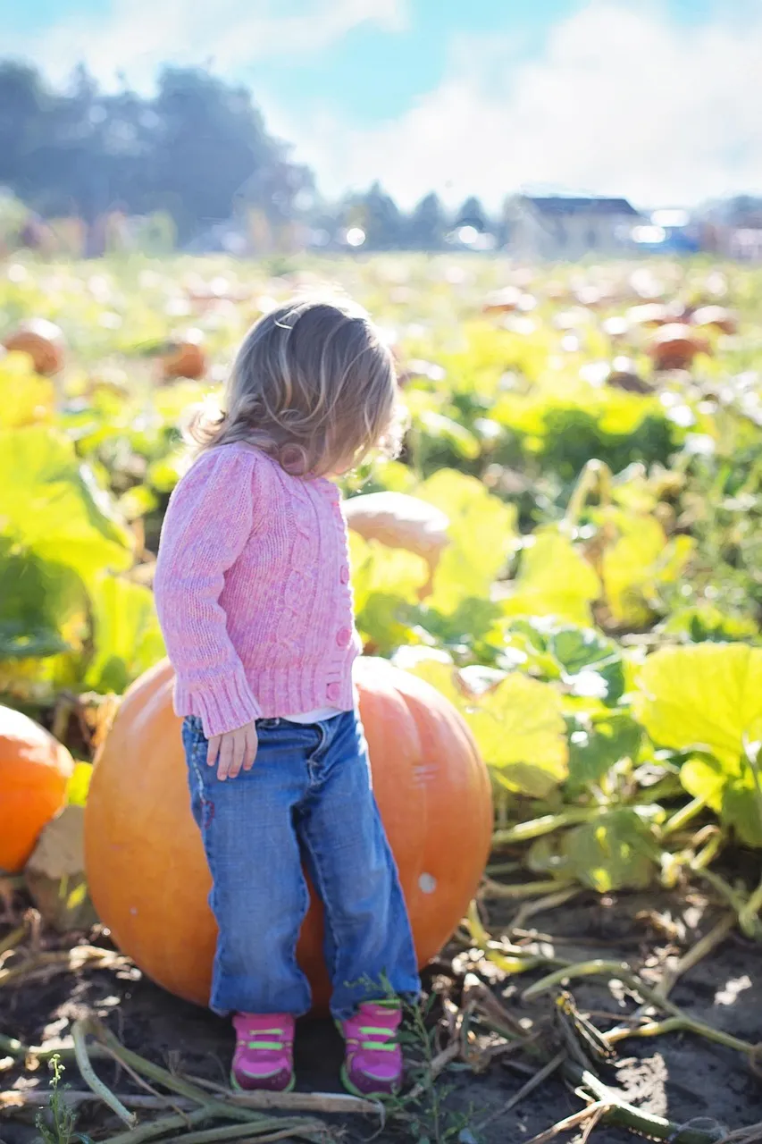 Pumpkin Risotto - Tastemaker Blog