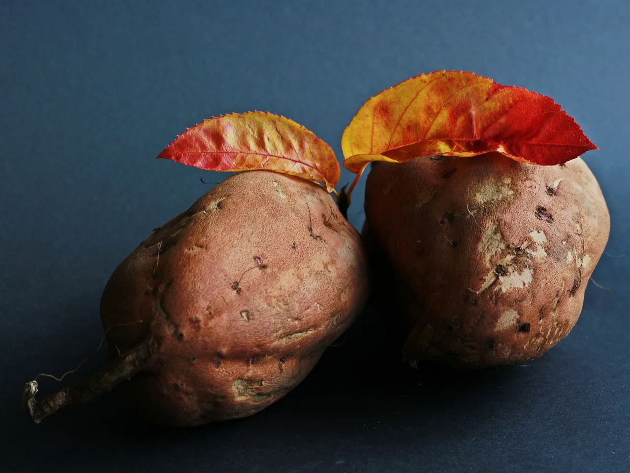 Curry Poutine with Sweet Potato Tots - Tastemaker Blog