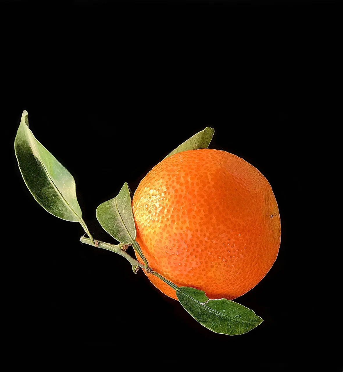 Ombré Citrus Salad - Tastemaker Blog