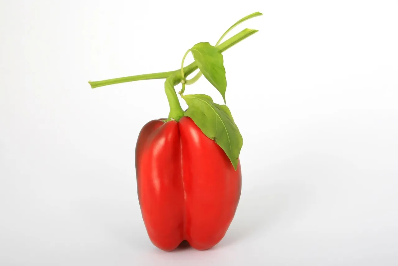 Easy Vegan Chili - Tastemaker Blog