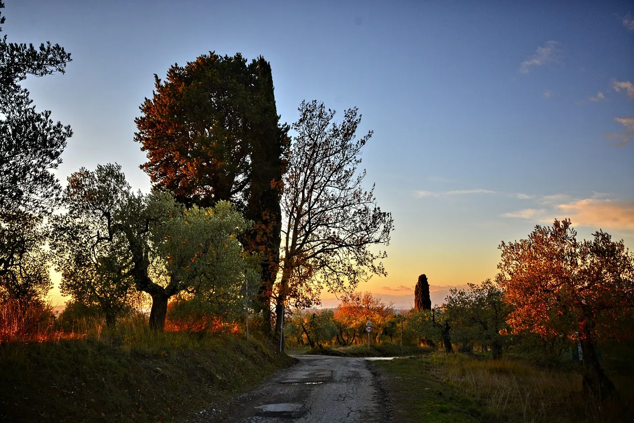 Florence