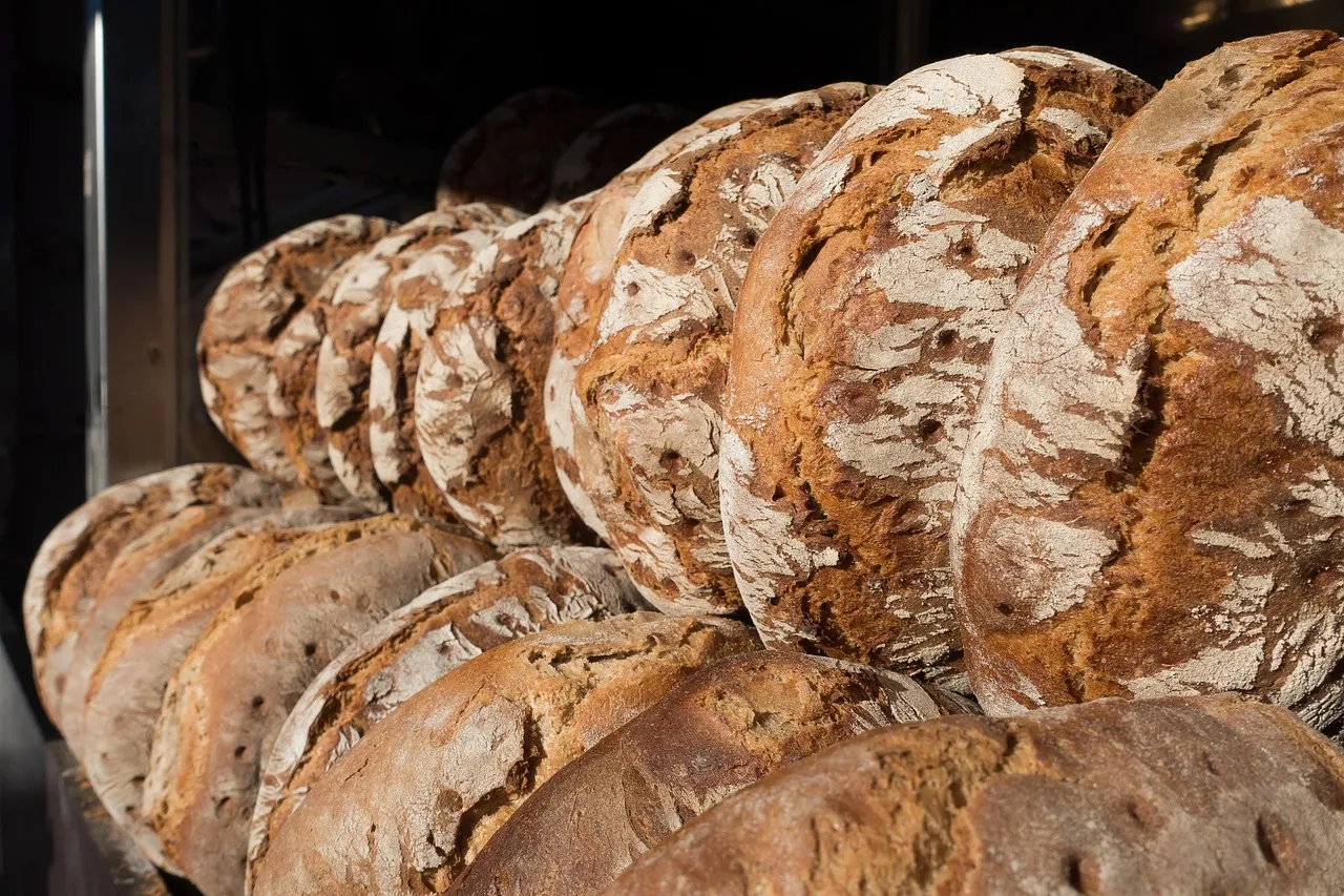 Sourdough 101 - Tastemaker Blog