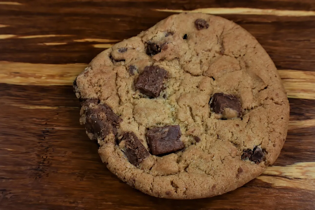 Pumpkin Chocolate Chip Bars - Tastemaker Blog