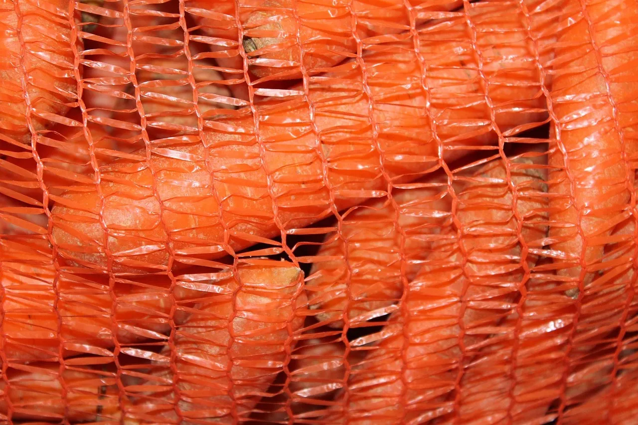 Spicy Pickled Carrots - Tastemaker Blog
