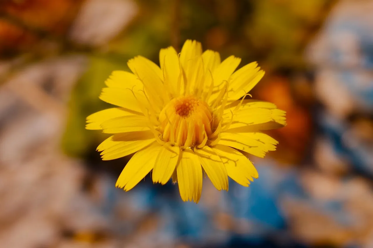 Grapefruit Margarita - Tastemaker Blog