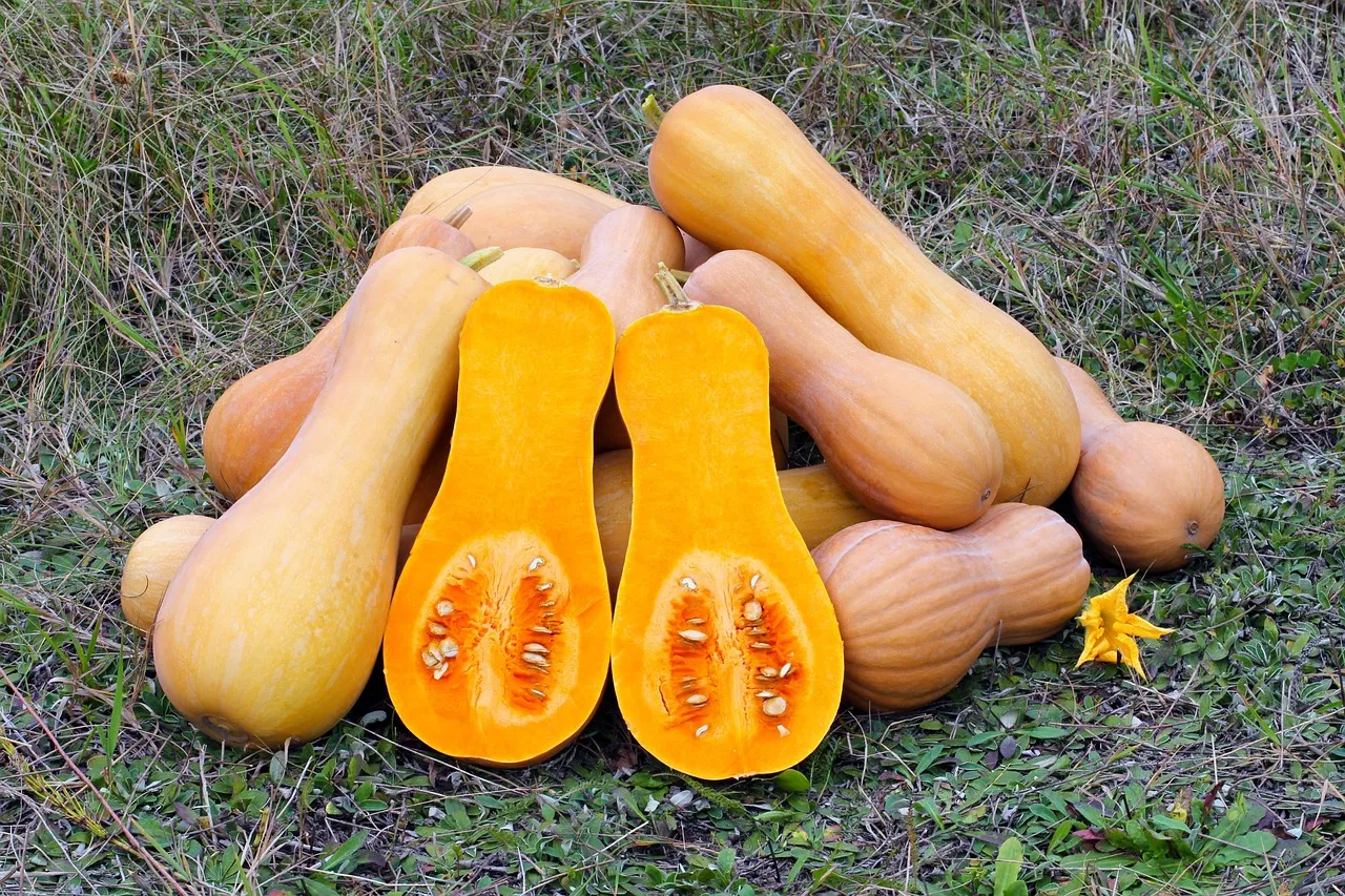 Butternut Squash Lasagna - Tastemaker Blog