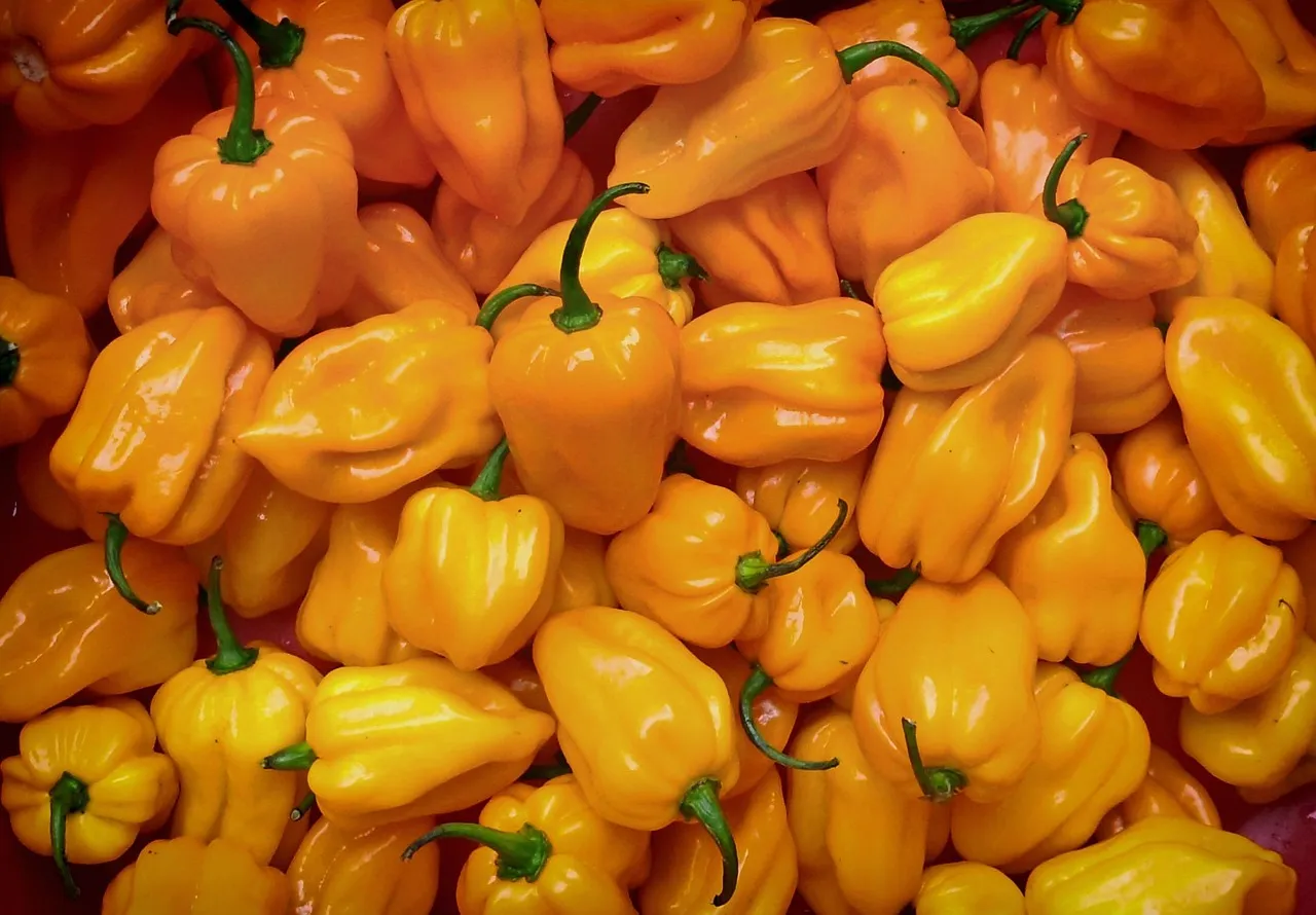 Drunken Chili - Tastemaker Blog