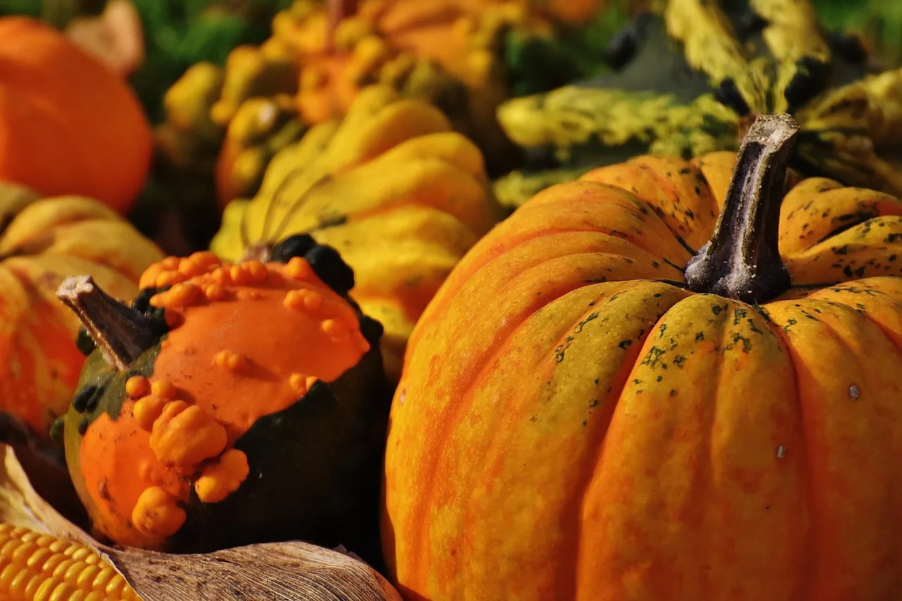 Apple and Onion Stuffing - Tastemaker Blog