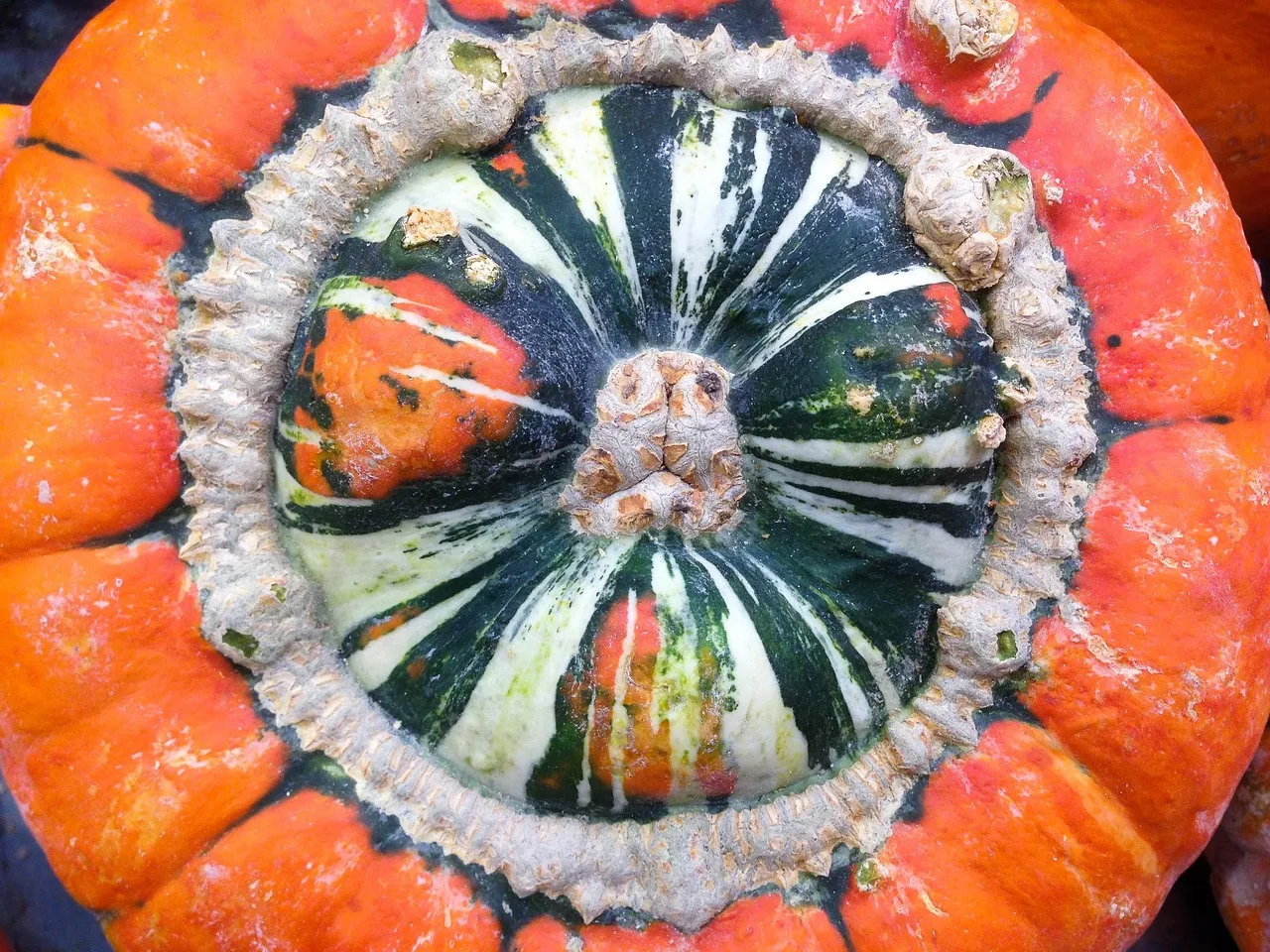 Butternut Squash Lasagna - Tastemaker Blog
