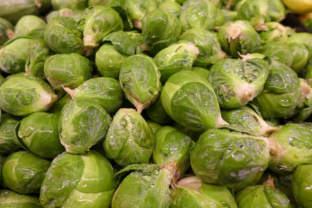 Brussel Sprout Salad with Apples and Toasted Pine Nuts- Tastemaker Blog