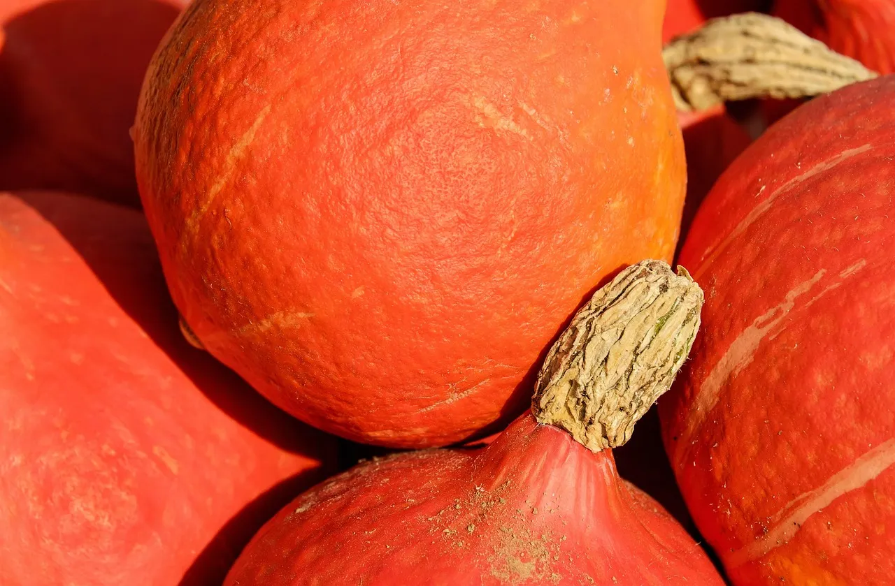 Pumpkin Risotto - Tastemaker Blog