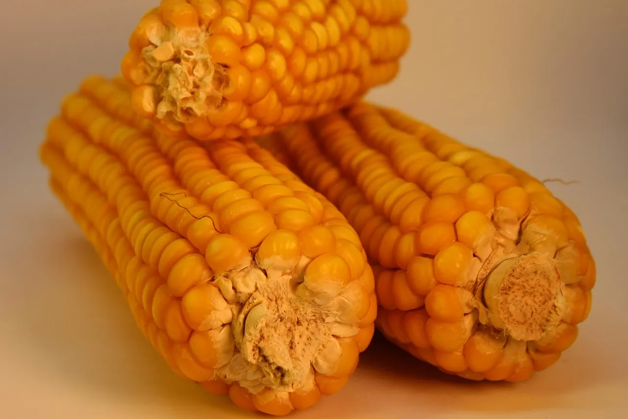 Healthyish Mexican Corn Chowder - Tastemaker Blog