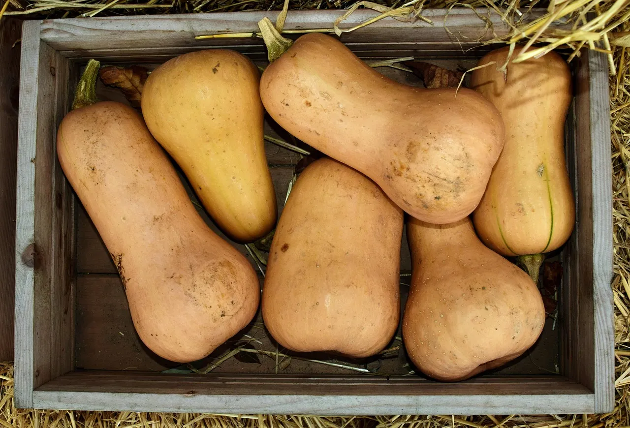 Easy Butternut Squash Dal - Tastemaker Blog