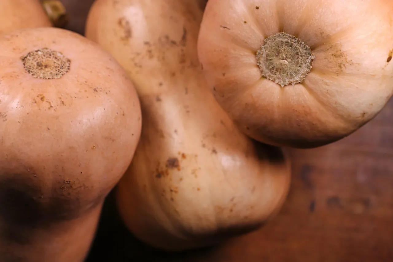 Butternut Squash Gnocchi with Sage and Brown Butter- Tastemaker Blog