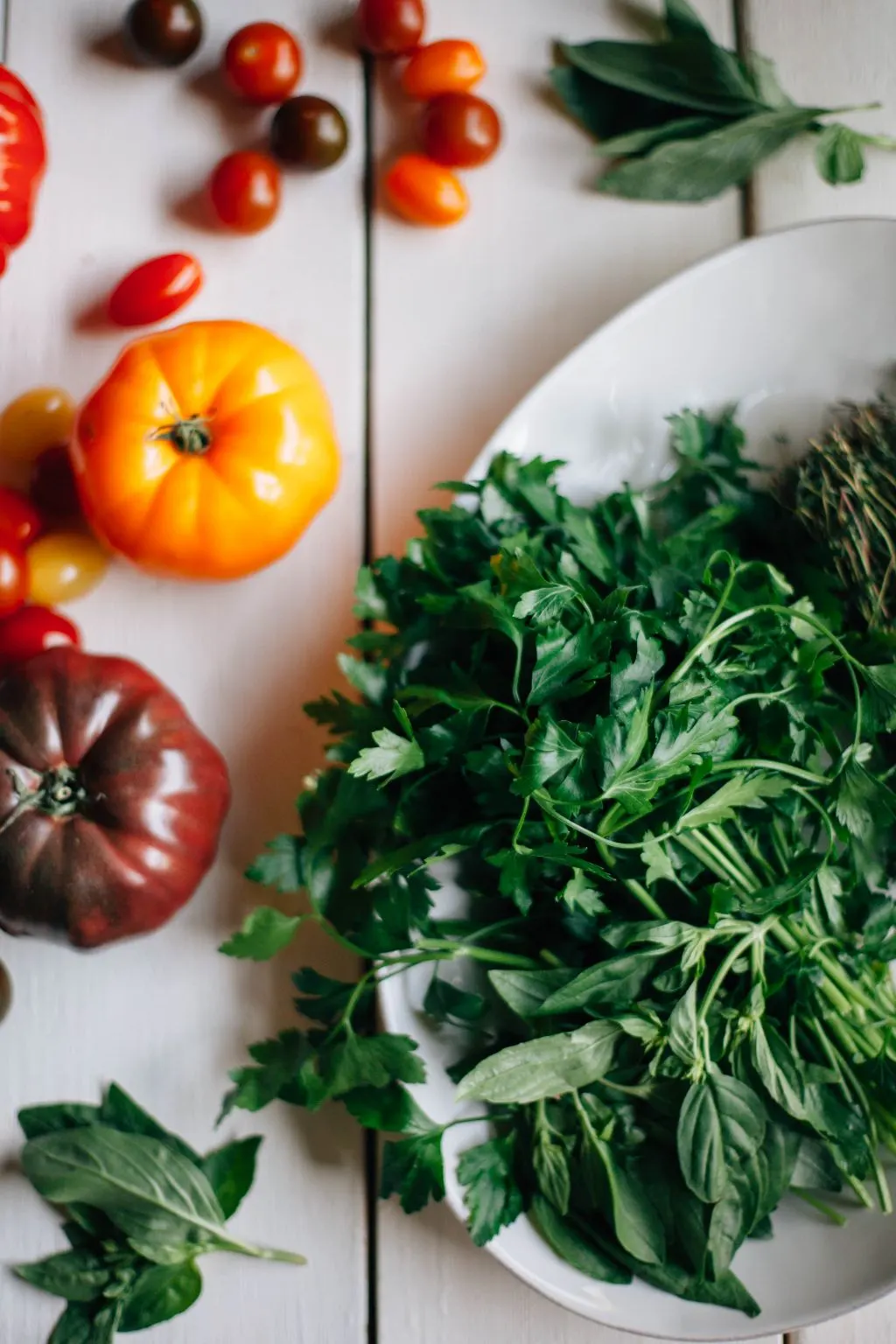Heirloom Tomato Salad with Burrata and Herb Pesto - Tastemaker Blog