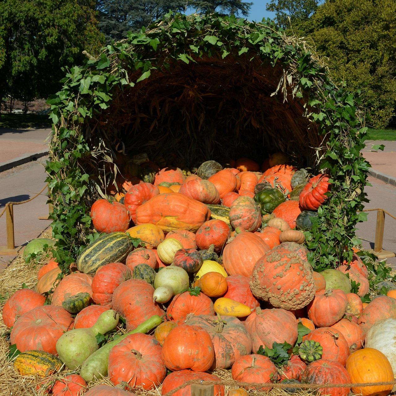 Pumpkin Lentil Stew - Tastemaker Blog